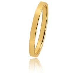 Alliance Bonheur En Or Jaune Large De 2 Mm Delphine-HABHR2J