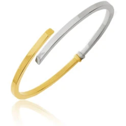 Bracelet Jonc Bicolore En 2 Ors 3.6g Large De 3 Mm Alexandra - 642004