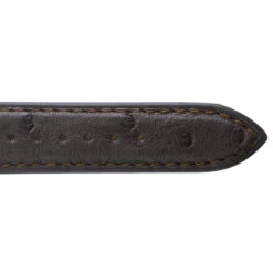 Bracelet Montre Autruche Mat Marron Vaiarava - 18108-03