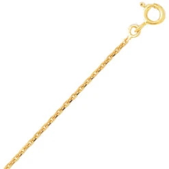Chaine Or Maille Forçat 2.55g F40-Léanne