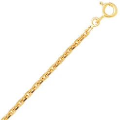 Chaîne Or Maille Forçat 7.2g F70-Anastasia