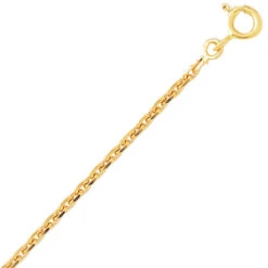 Chaîne Or Maille Forçat 9 Carats 4.25g 9KF65-Tiana