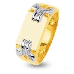 Chevalière 2 Ors Or 18 Ct - 750/1000 - 6.29 G - Nymphea - 5942G