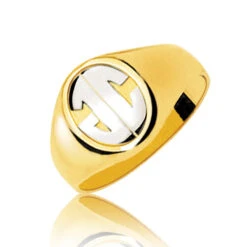 Chevalière 2 Ors Or 18 Ct - 750/1000 - 7.92 G - Cléa - 5045M