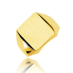 Chevalière Or Jaune Or 18 Ct - 750/1000 - 17.61 G - Myriam - 5026M -Accessoires De Mode ori chevaliere or jaune or 18 ct 750 1000 17 61 g myriam 5026m 2725 2138