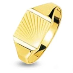 Chevalière Or Jaune Or 18 Ct - 750/1000 - 3.35 G - Érika - 3433.2M