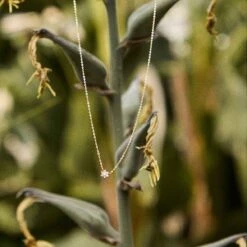 Collier Diamants 0.05 Ct - Lecarré - Anya - GD106OA -Accessoires De Mode ori collier diamants 0 05 ct lecarre anya gd106oa 46582 70257