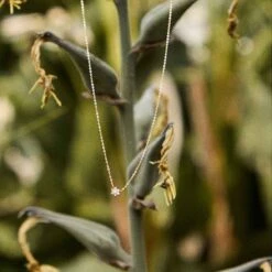 Collier Diamants Brun 0.05 Ct - Lecarré - Madoka - GD106OR.BR -Accessoires De Mode ori collier diamants brun 0 05 ct lecarre madoka gd106or br 46584 70268