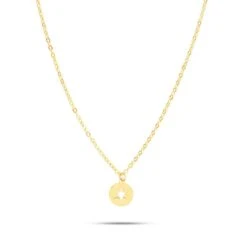 Collier Etoile Ascendance 2.25g Yang - XCOAS1