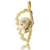 Pendentif Corse Tête De Maure Or Blanc Elise - XPGV4T13 1 Pendentif Corse Tête De Maure Or Blanc Elise - XPGV4T13 -Accessoires De Mode ori pendentif corse tete de maure or blanc elise xpgv4t13 18686