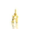 Pendentif Or Jaune Et Oxyde De Zirconium Initiale R Myriam -Accessoires De Mode ori pendentif or jaune et oxyde de zirconium initiale r myriam 22414